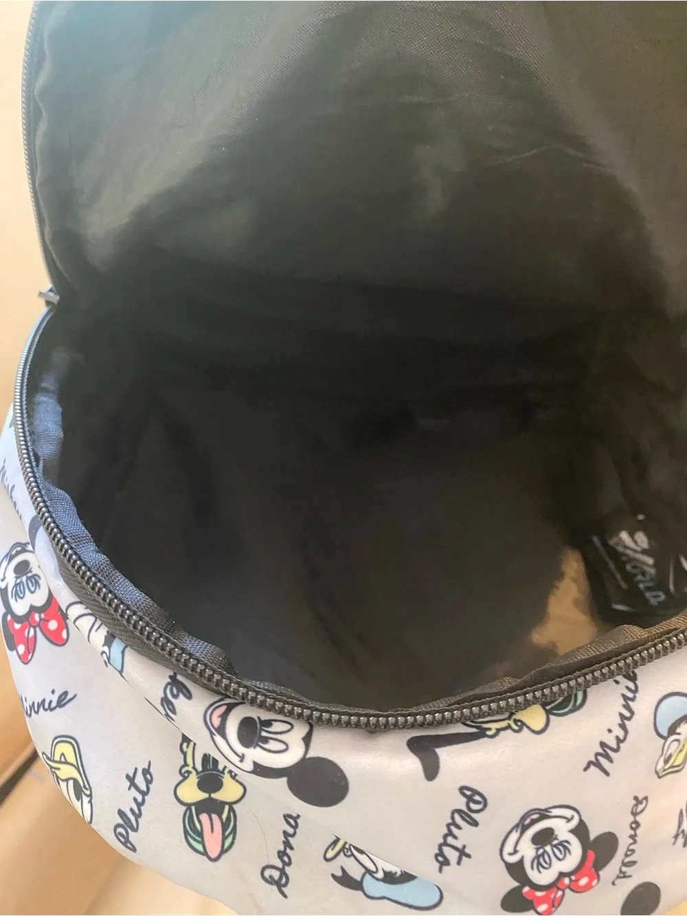 Disney x Bioworld backpack EUC